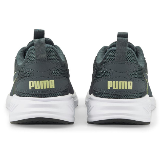 Puma Incinerate